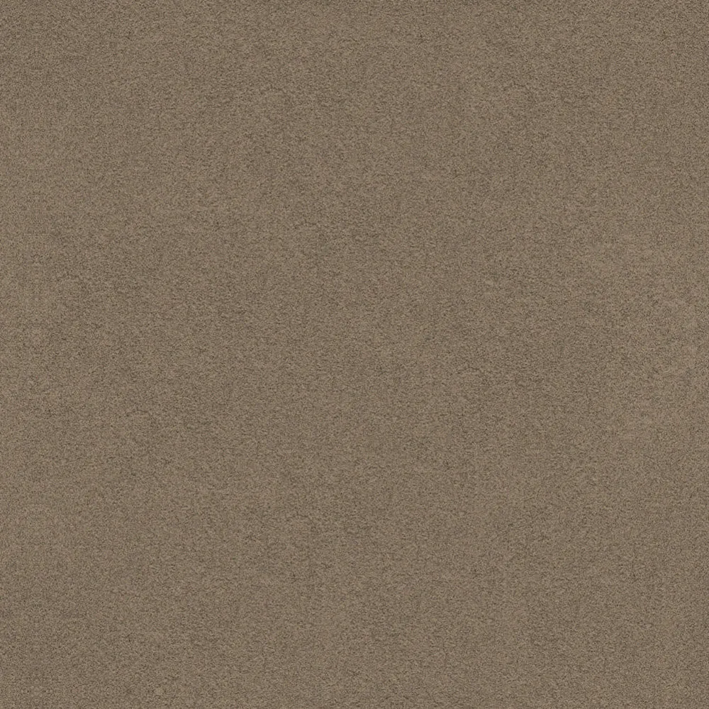 Novacolor – Paint LS18314 3ds Max