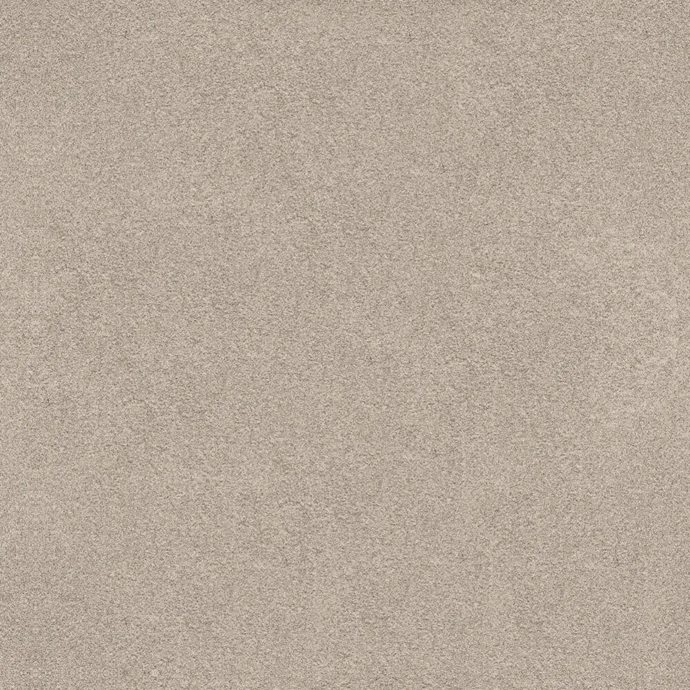 Novacolor – Paint LS18316 3ds Max