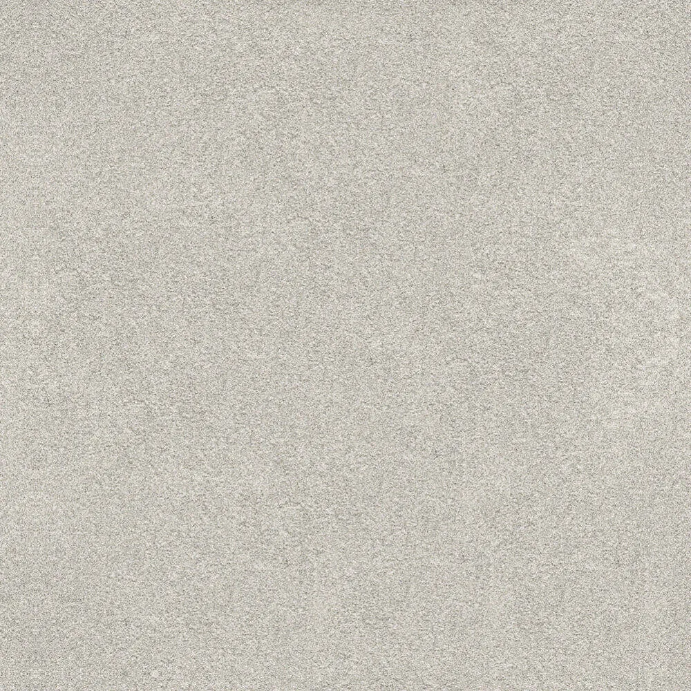 Novacolor – Paint LS18317 3ds Max