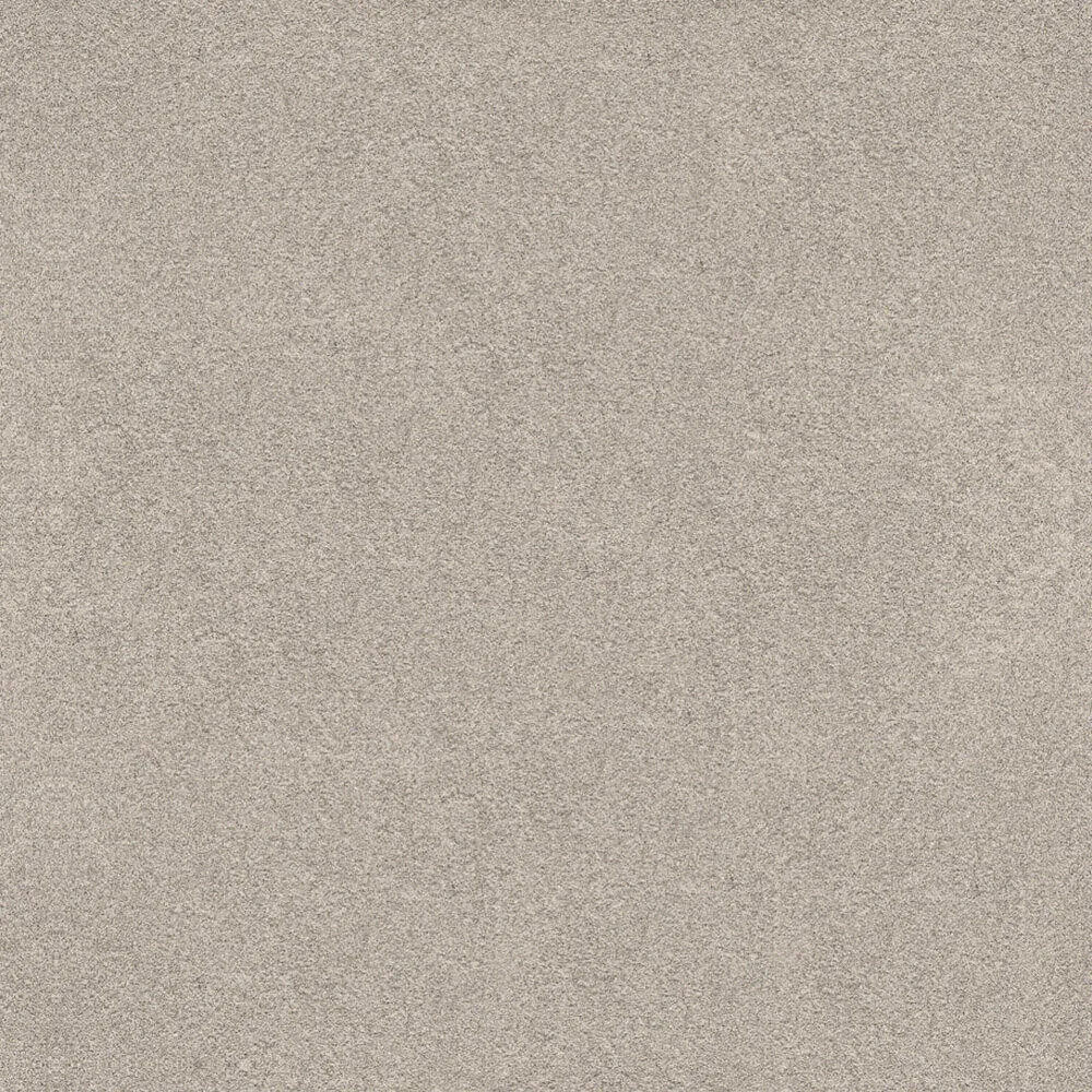 Novacolor – Paint LS18318 3ds Max