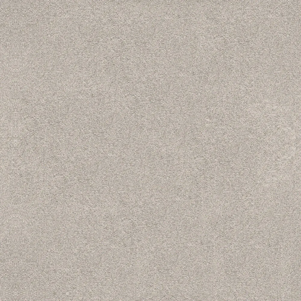 Novacolor – Paint LS18319 3ds Max