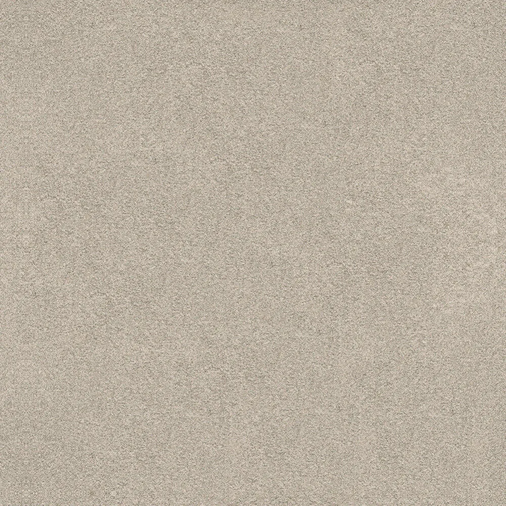 Novacolor – Paint LS18321 3ds Max