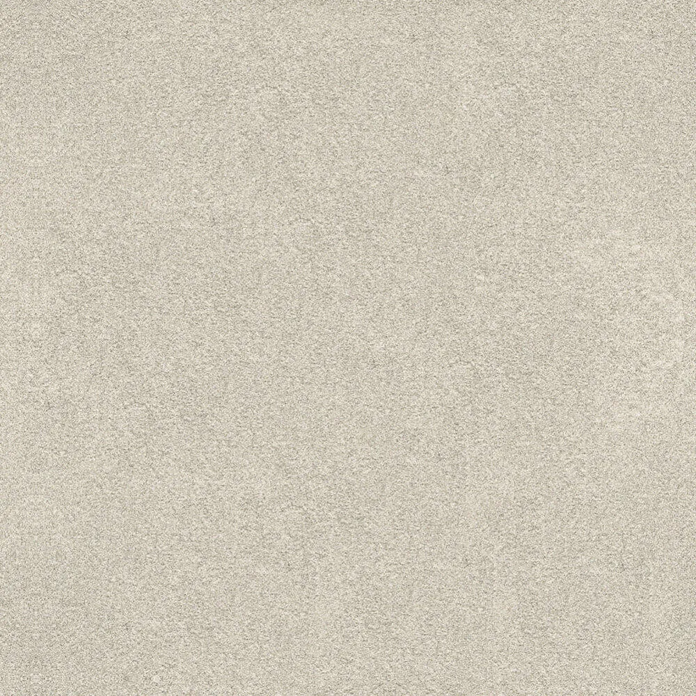 Novacolor – Paint LS18322 3ds Max