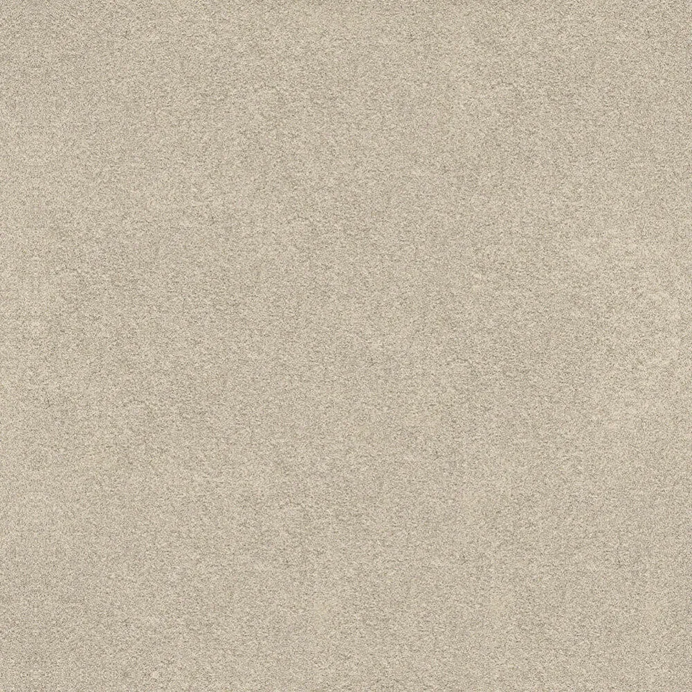 Novacolor – Paint LS18331 3ds Max