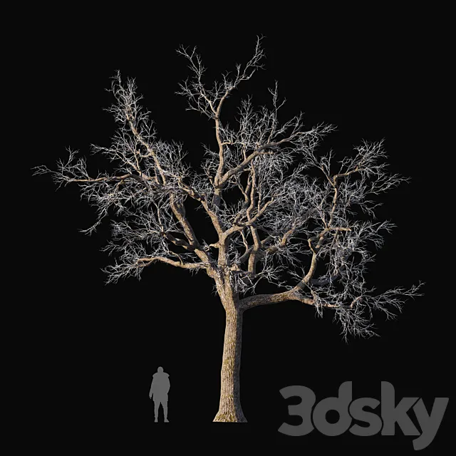 Oak frozen 3ds Max