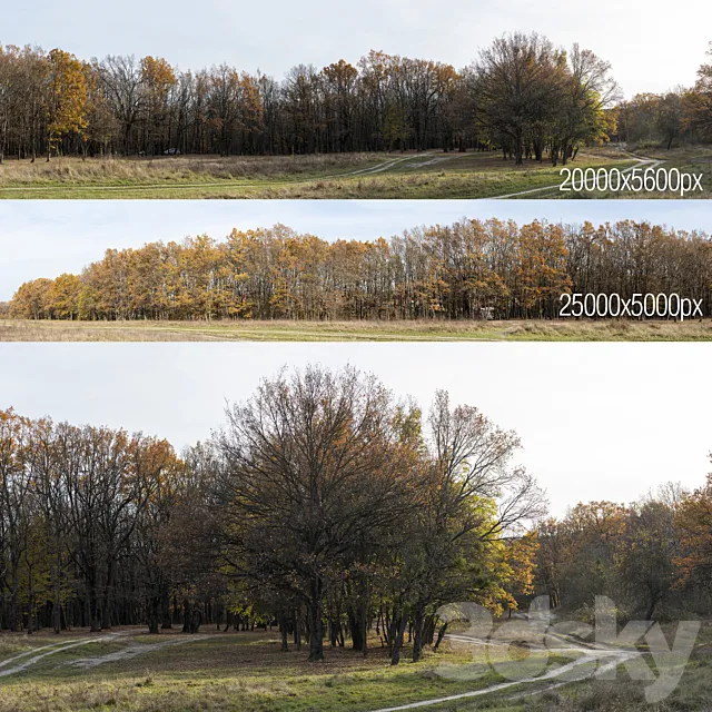 Oak Grove. 2 panoramas 3DSMax File