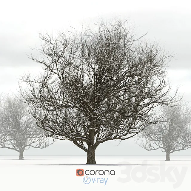 Oak with snow 3DSMax File