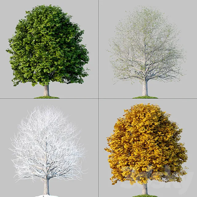 Oak_001_4_Seasons 3ds Max