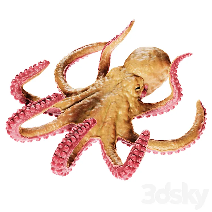 Octopus 3DS Max