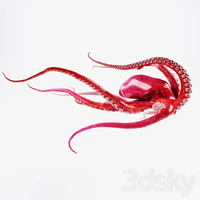 Octopus 3ds Max