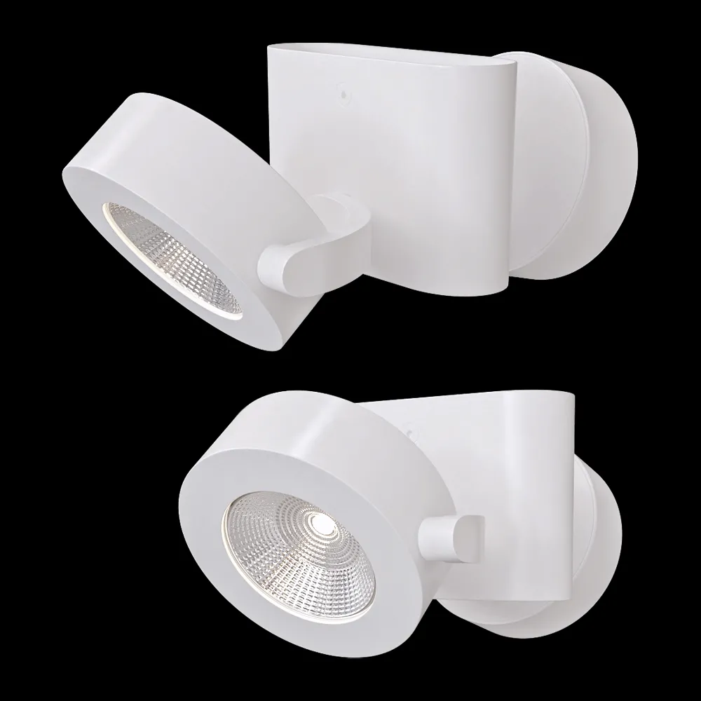 Odeon Light – Ceiling lamp Pumavi 3493/20CL 3ds Max