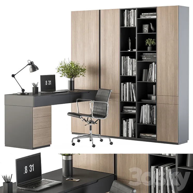 Office Furniture Wardrobe and Table – Home Office 36 3DS Max Model