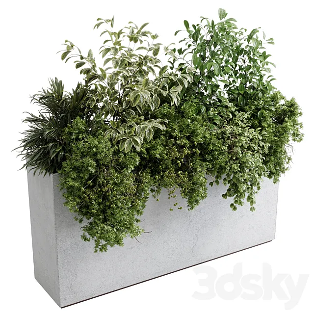 Office plant – concrete box plants on stand – set indoor plant 588 3dsMax Model