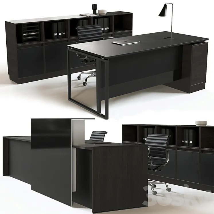 Office reception furniture set 3DS Max