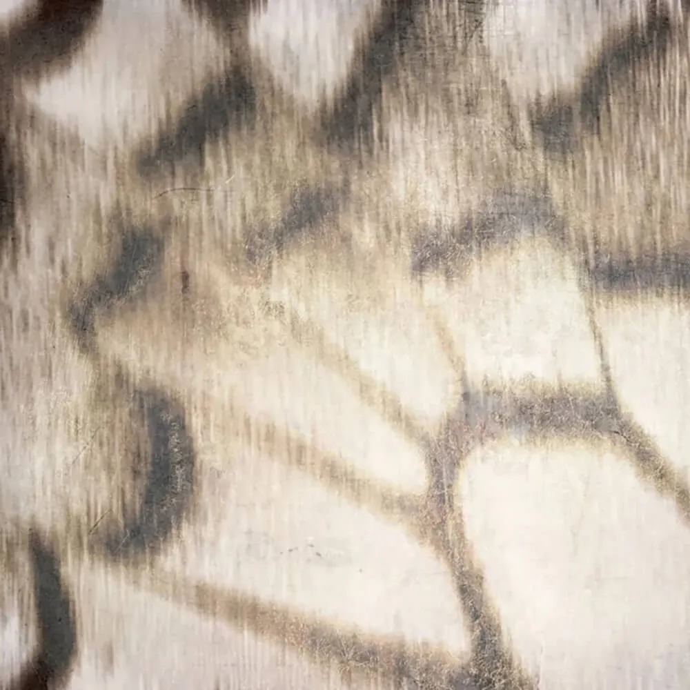 Officinarkitettura – Wallpaper Butterfly 2 3ds Max