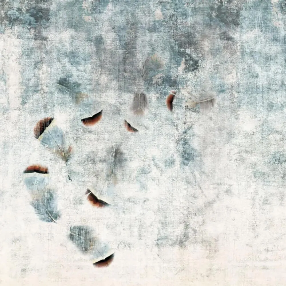 Officinarkitettura – Wallpaper Feathers 2 3ds Max