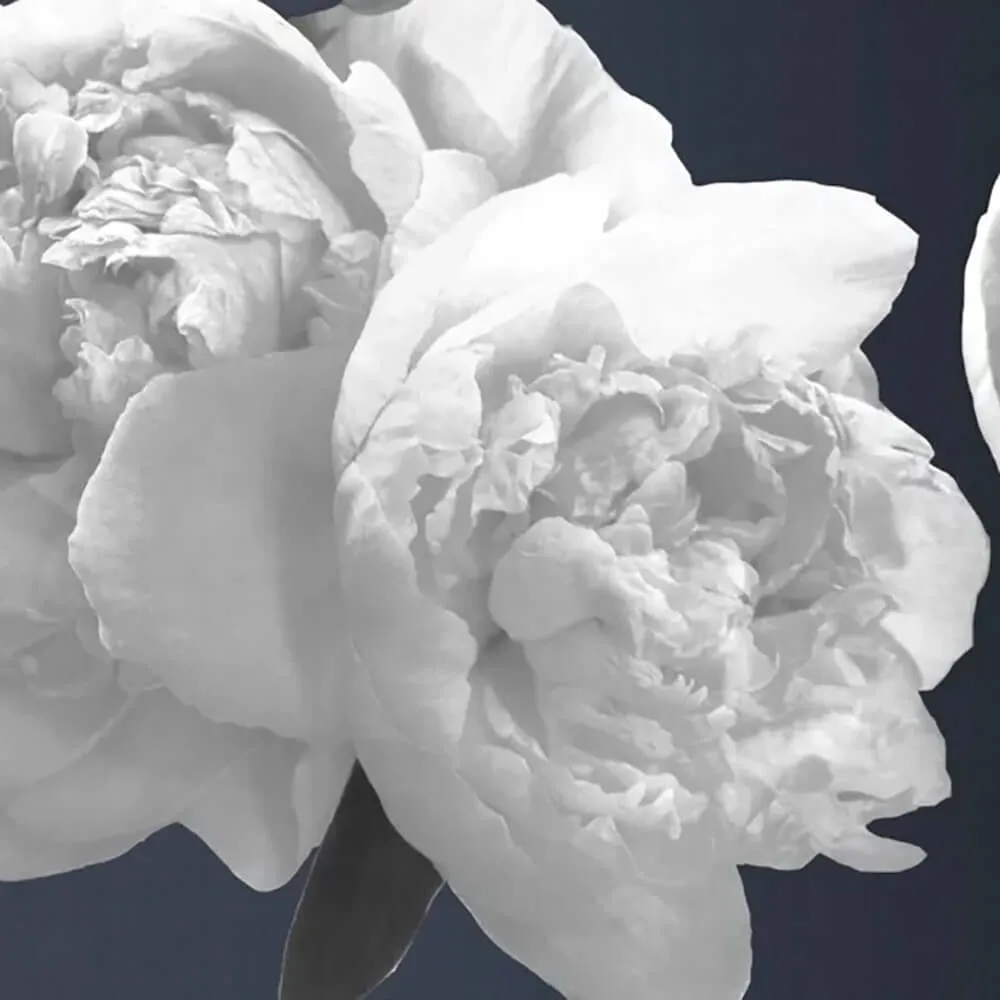 Officinarkitettura – Wallpaper Instant God 3ds Max