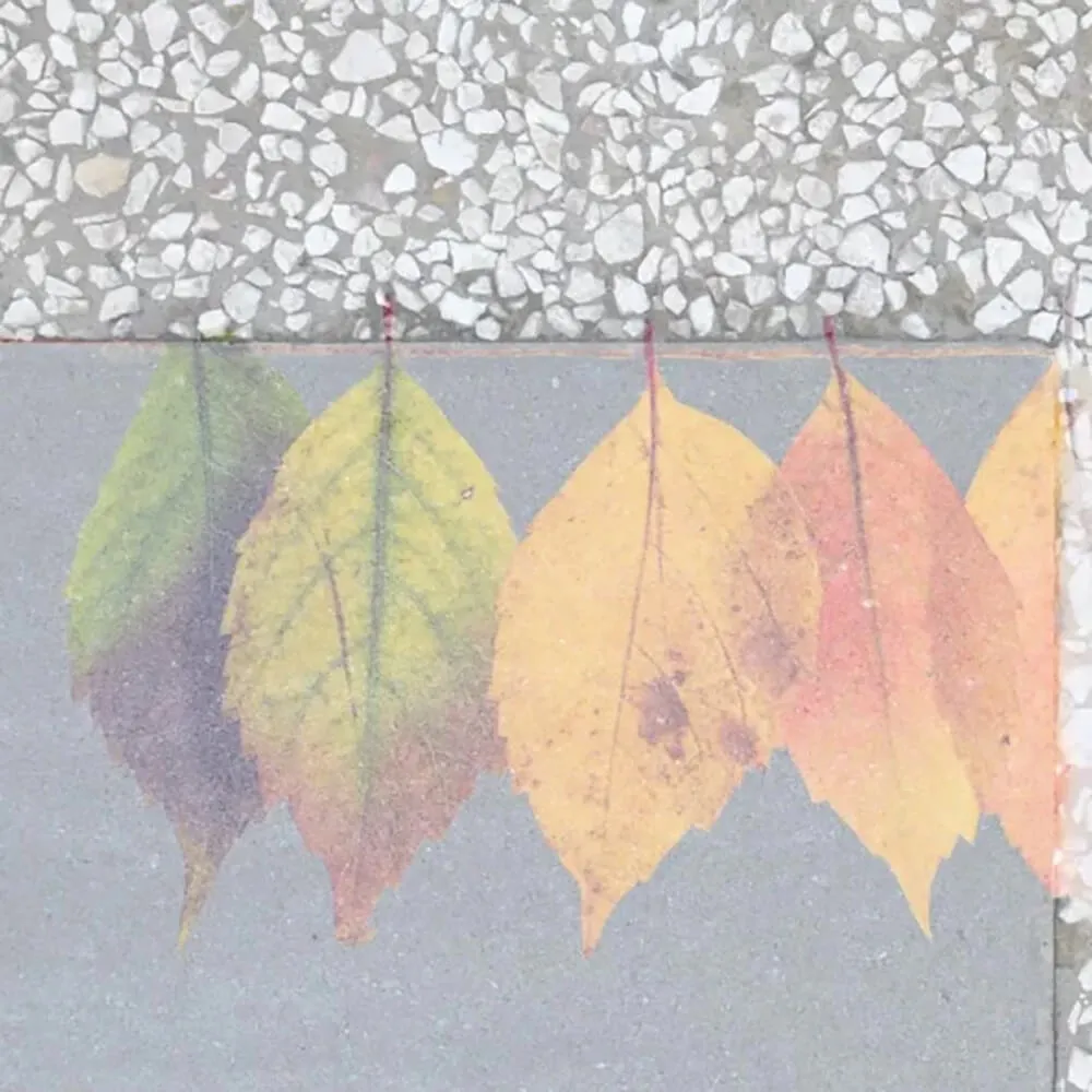 Officinarkitettura – Wallpaper Leaves 3ds Max