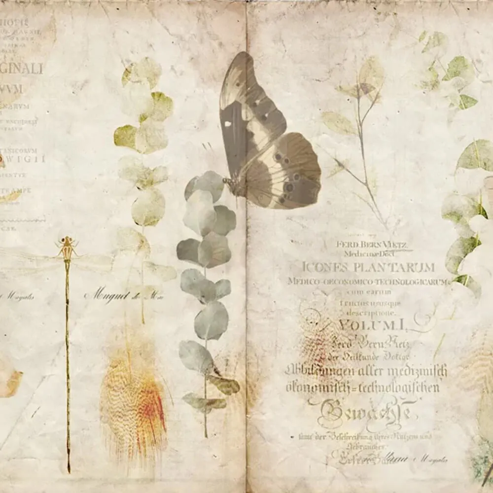 Officinarkitettura – Wallpaper Nature Book 3ds Max