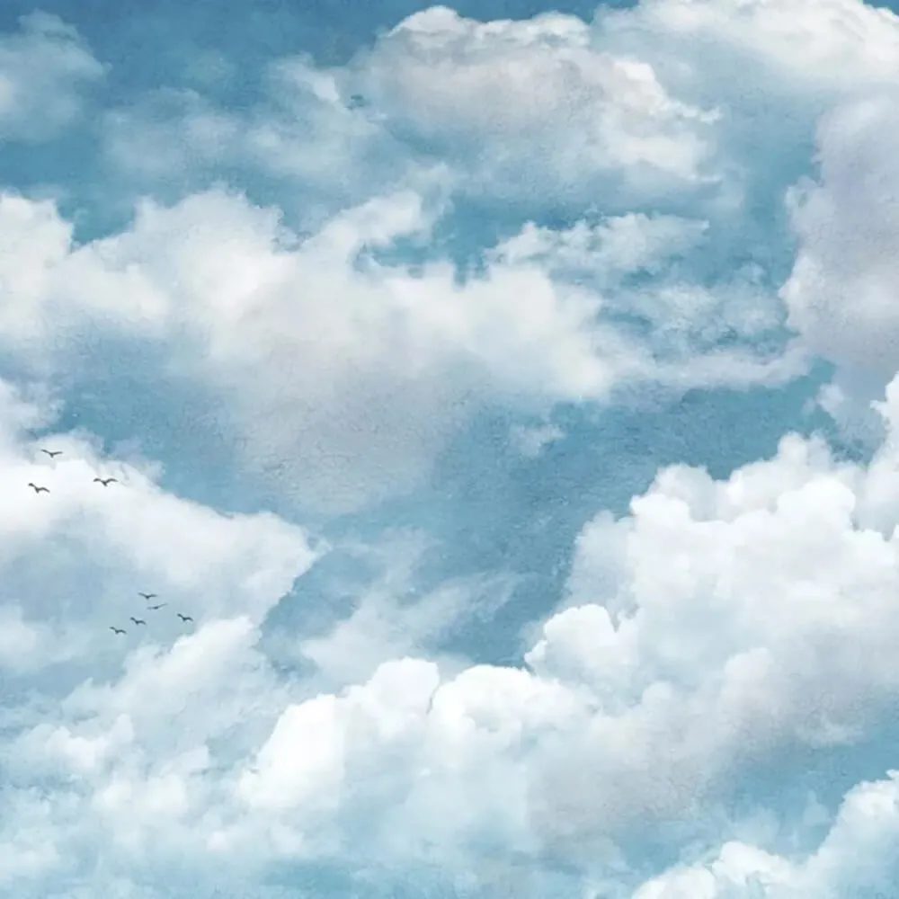 Officinarkitettura – Wallpaper Painting Clouds 3ds Max