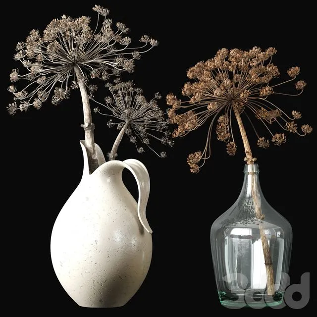 Old heracleum 2 dry bouquet 3dsMax Model