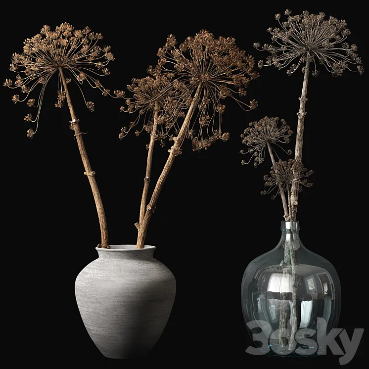 Old heracleum 3DS Max