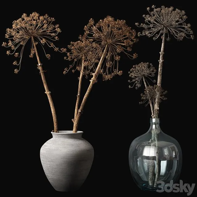 Old heracleum 3dsMax Model
