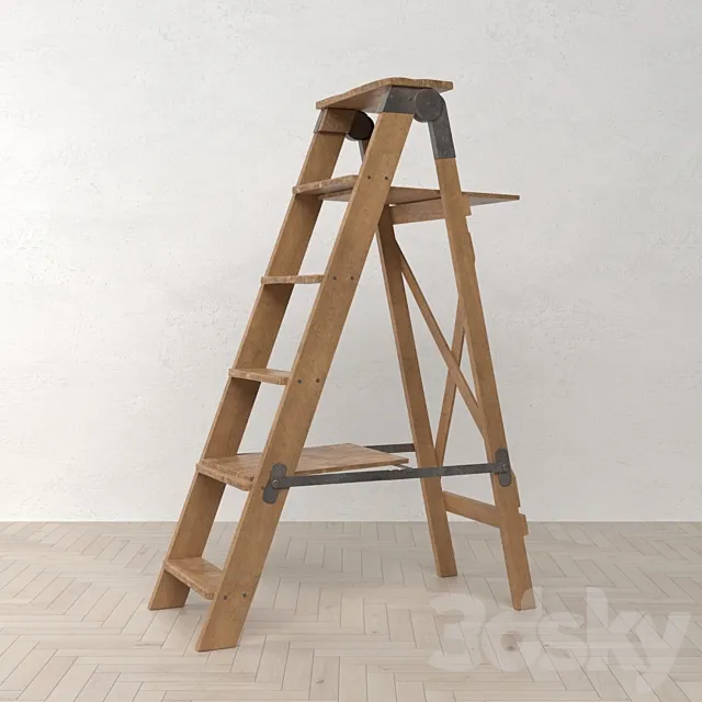 Old Ladder 3DS Max Model