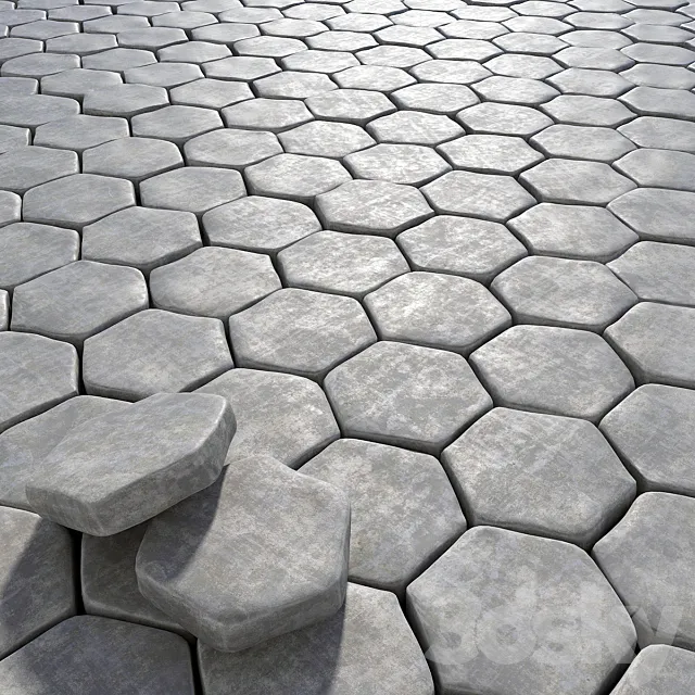 Old paving hexagon 3DS Max Model