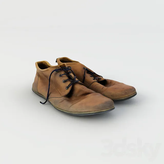 Old Shoes 3ds Max