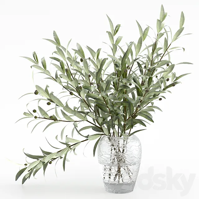 Olive branches in a vase 3DS Max Model