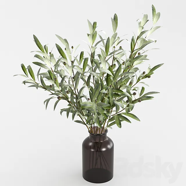 Olive branches in a vase 3ds Max