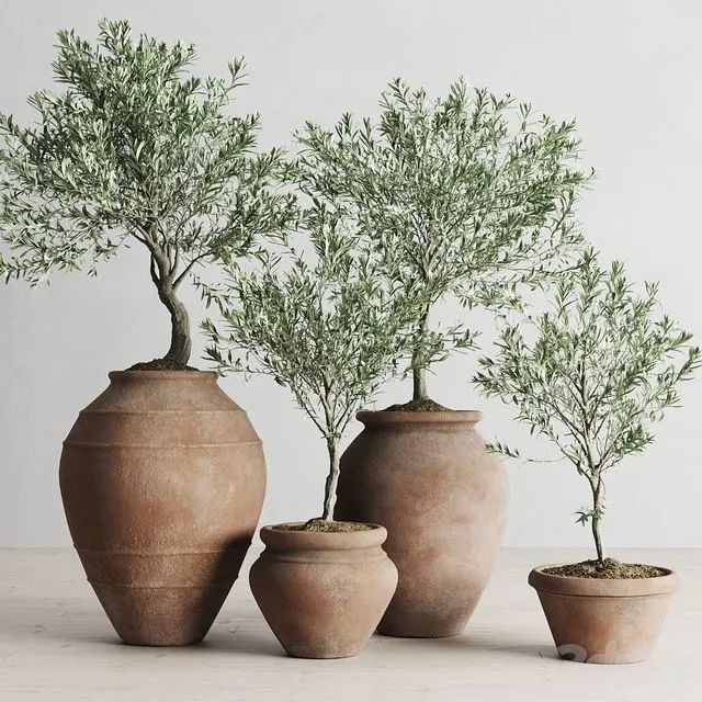Olive European In Antique Clay Vessels 3dsMax Model