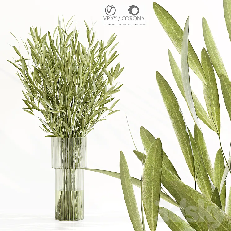 Olive In Dina Fluted Glass Vase 3DS Max Model