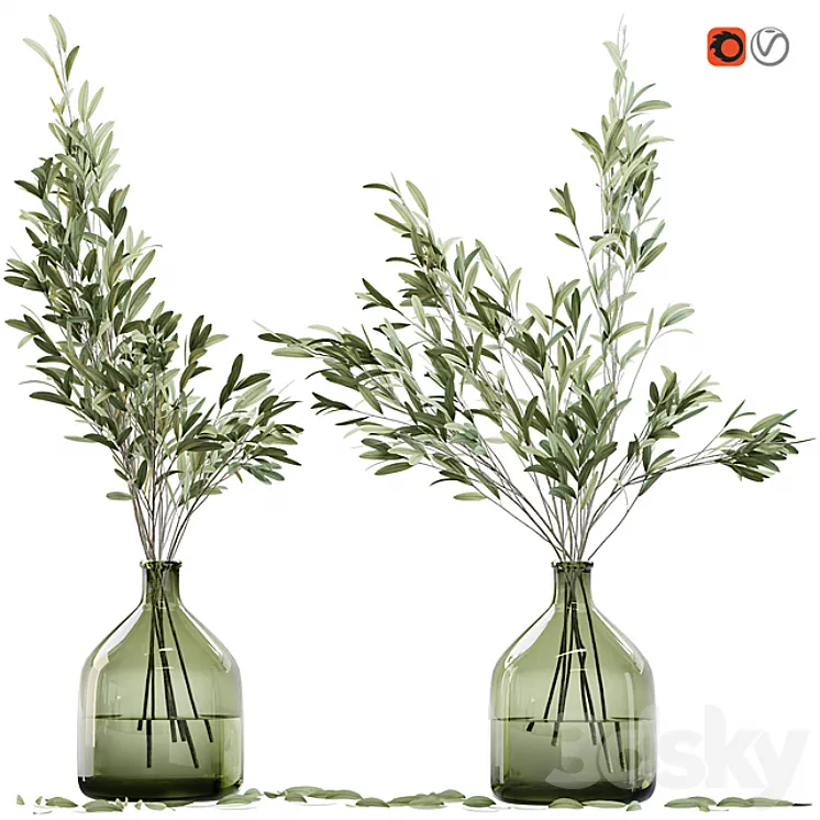Olive stems in glass vase with water 3DS Max
