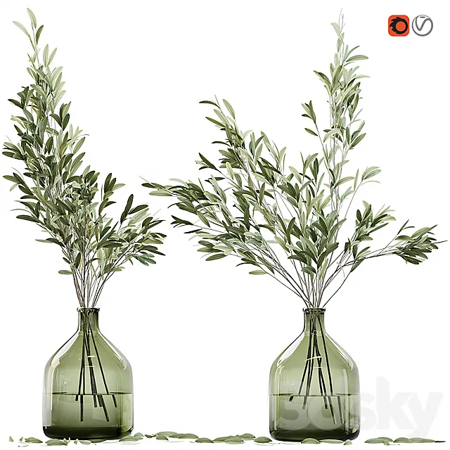 Olive stems in glass vase with water 3DSMax File