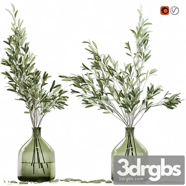 Olive stems in glass vase with water