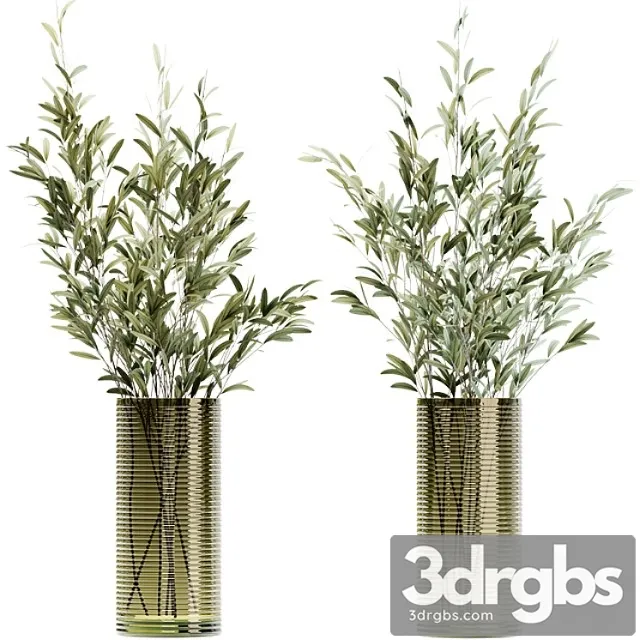 Olive stems in simple glass ribbed vase