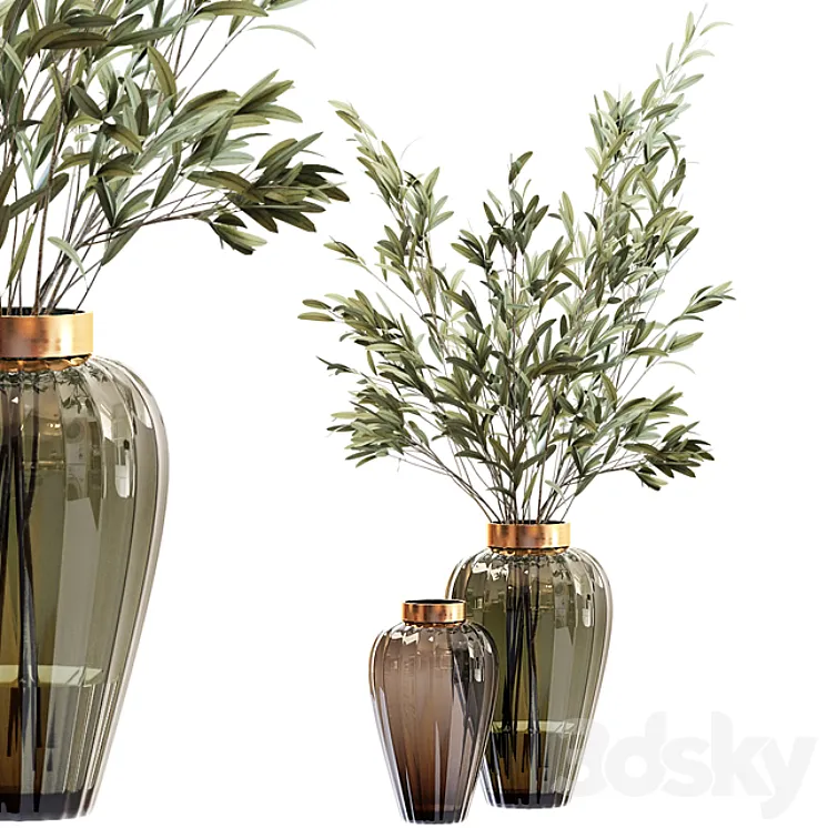 Olive stems in zara glass vase with water 3DS Max