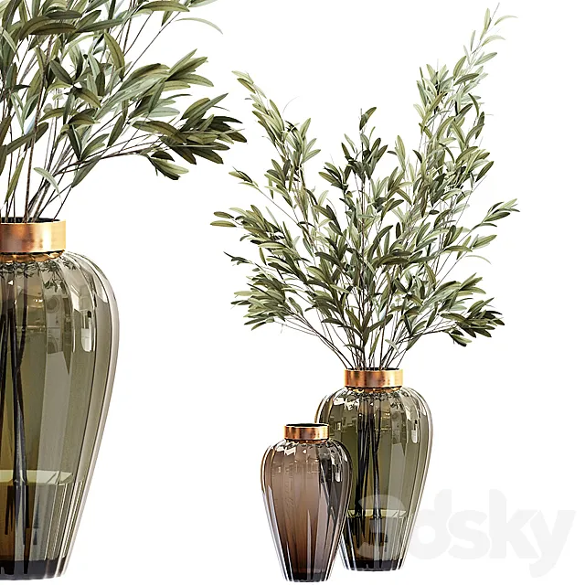 Olive stems in zara glass vase with water 3DSMax File