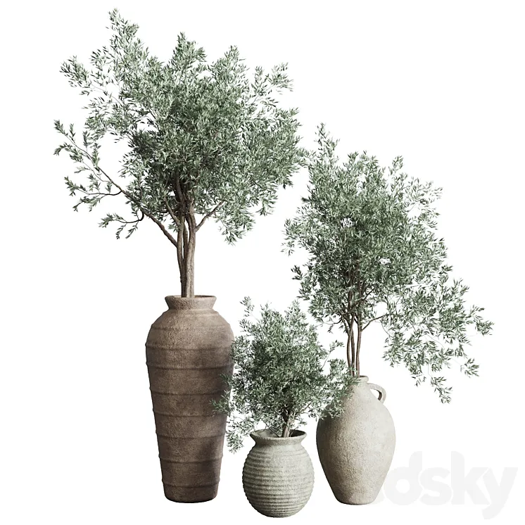 Olive tree in an old earthenware vase indoor collection 278 3DS Max