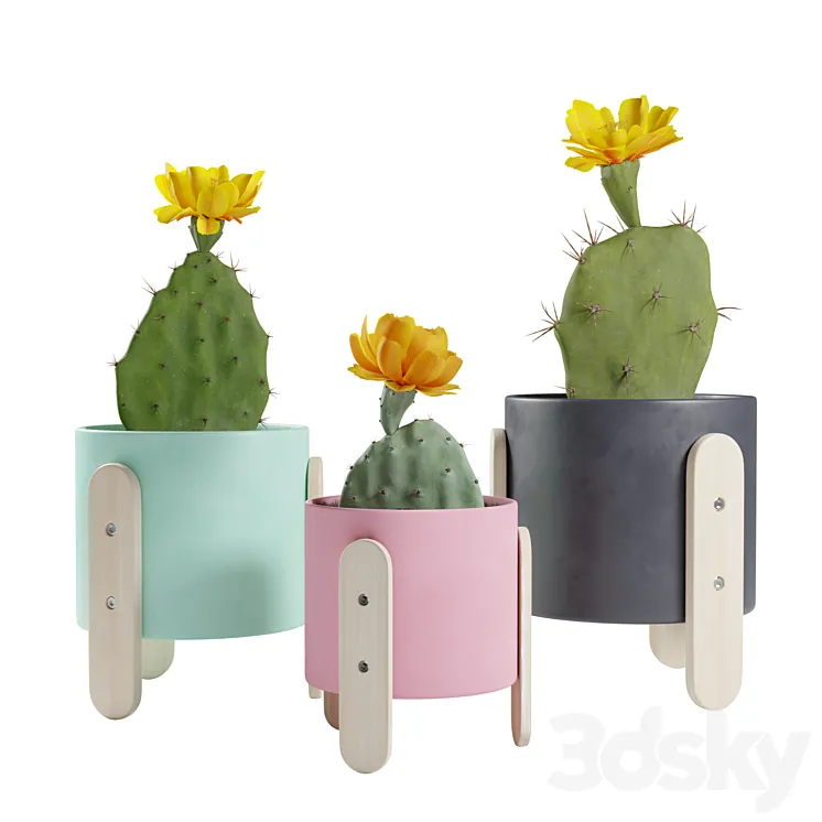 Opuntia Cactus Pack 3DS Max