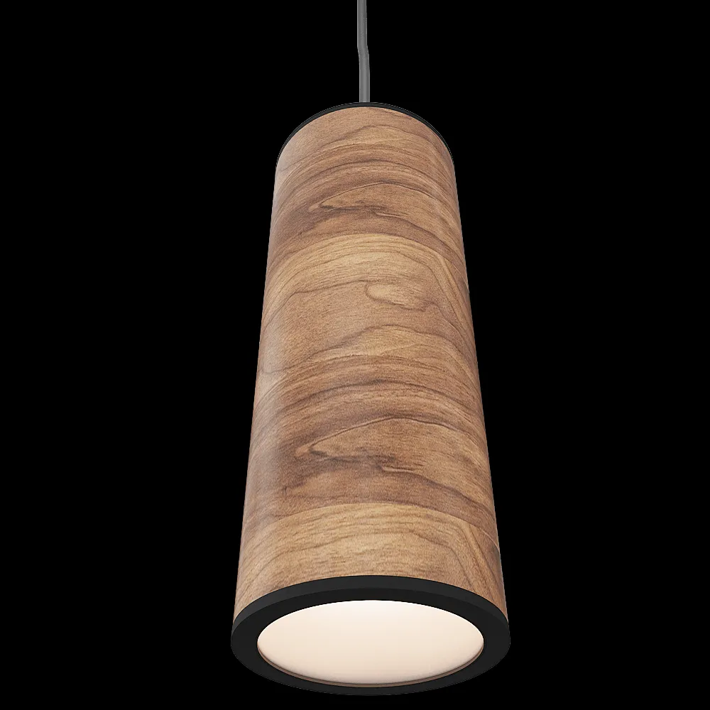 Orac Decor  – Pendant lamp Jupiter Spot S 3ds Max
