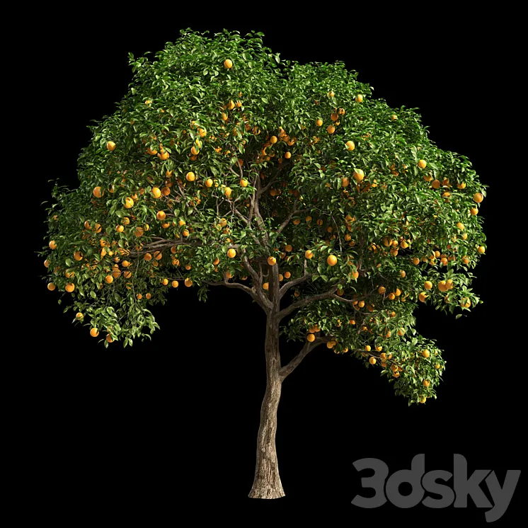 Orange Tree 10 3DS Max