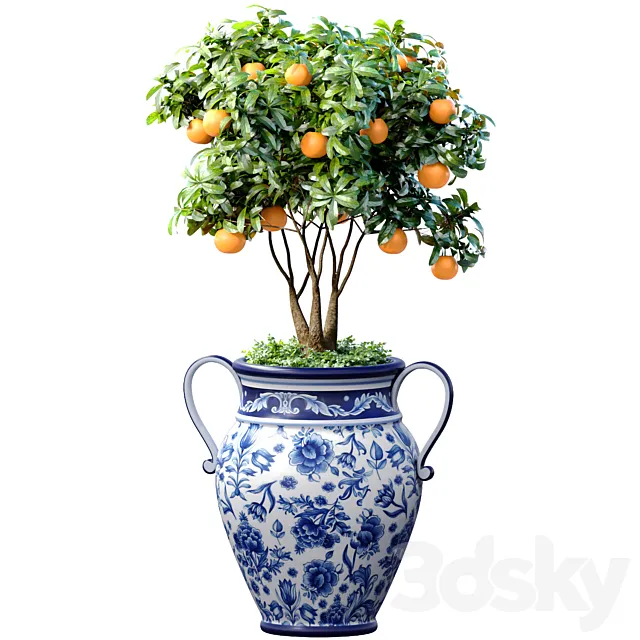 Orange Tree in an Italian vase. Ornamental Citrus Indoor plant 3ds Max