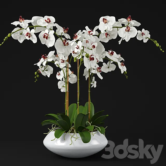 Orchid 11 3DSMax File