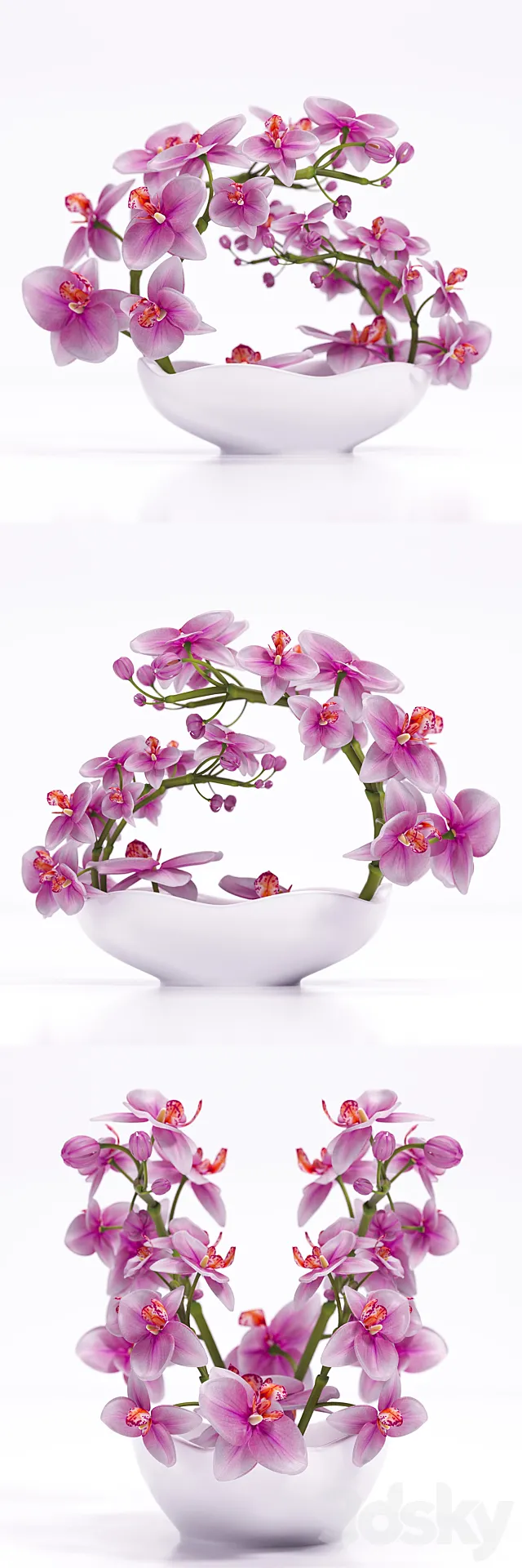 ORCHID 3 3ds Max