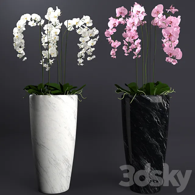 Orchid 4 3DSMax File