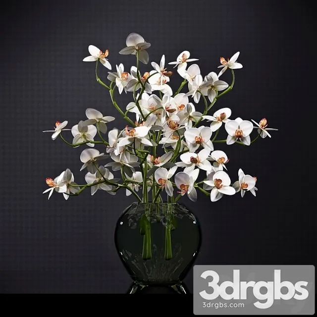 Orchid 6 3dsmax Download