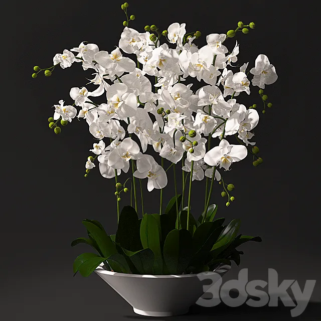 Orchid arrangement 3DSMax File
